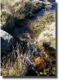 cwDartmoorlight024