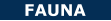 FAUNA